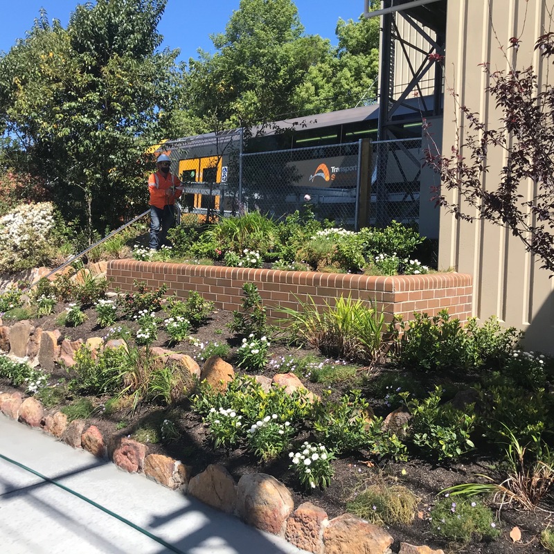 TAP Station Landscaping